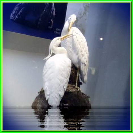 �x�Ї��մ�ˇ�g��������Ʒչ�_Ļ